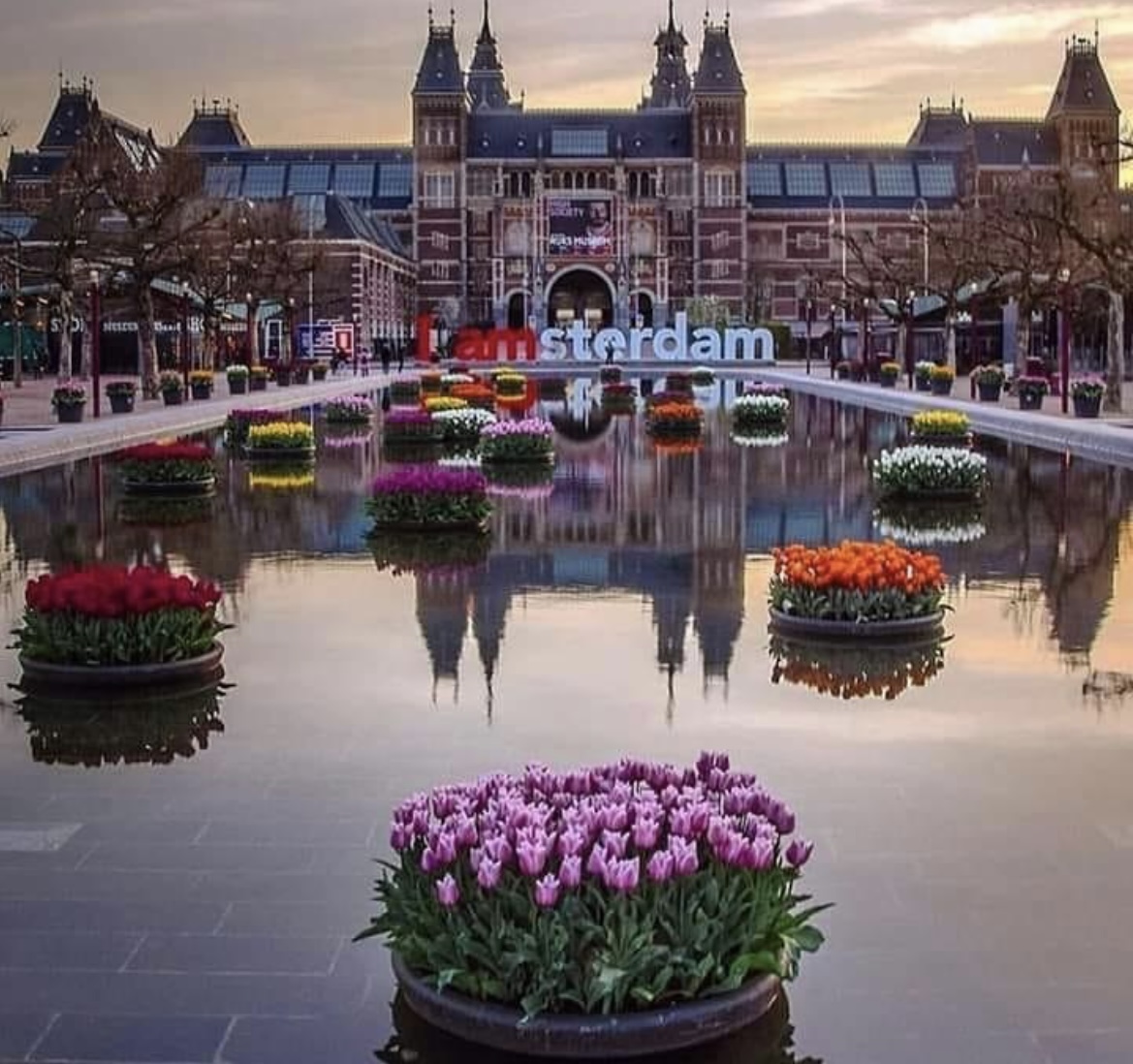 Discover the Best of the Netherlands in a Day