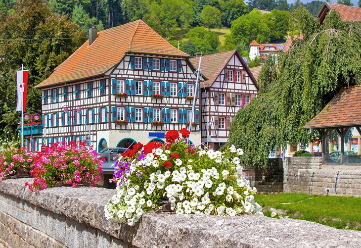 Explore the Best of Germany's Black Forest with Our 2-Day Tour Package